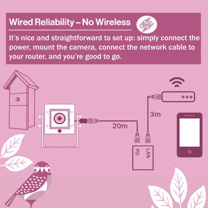 Wired Network Bird Box & Wildlife HD Camera (2nd Gen)