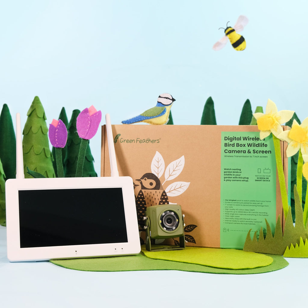 Wireless Bird Box Camera & Screen Pack