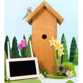 Wireless Bird Box Camera & Screen Starter Pack