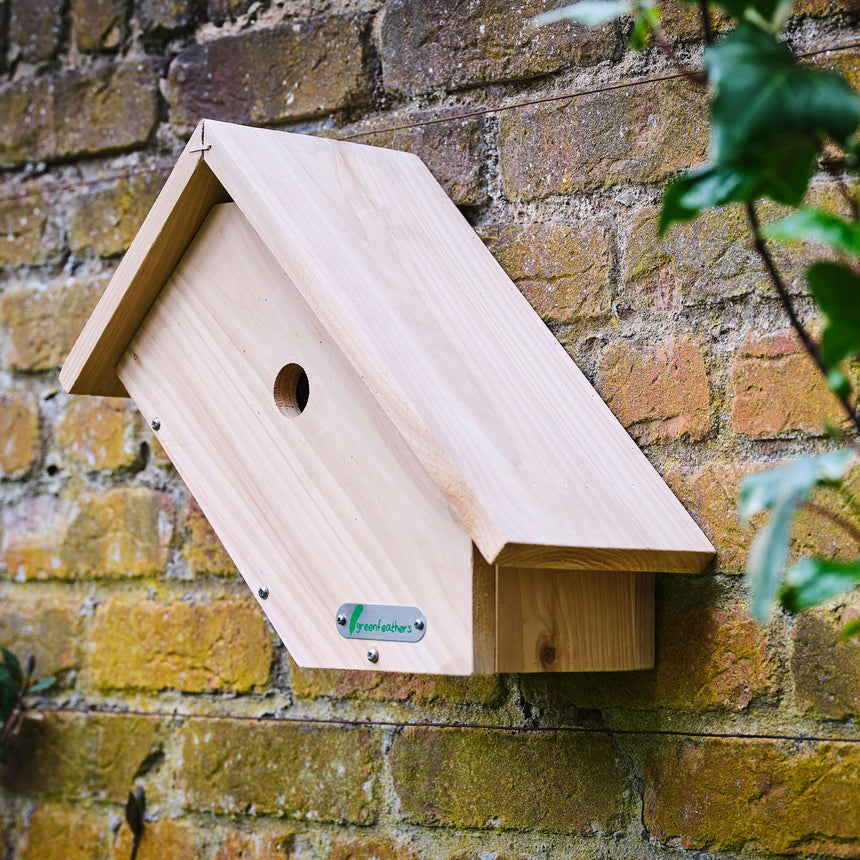 Wireless Side View Bird Box Camera & Screen Complete Pack