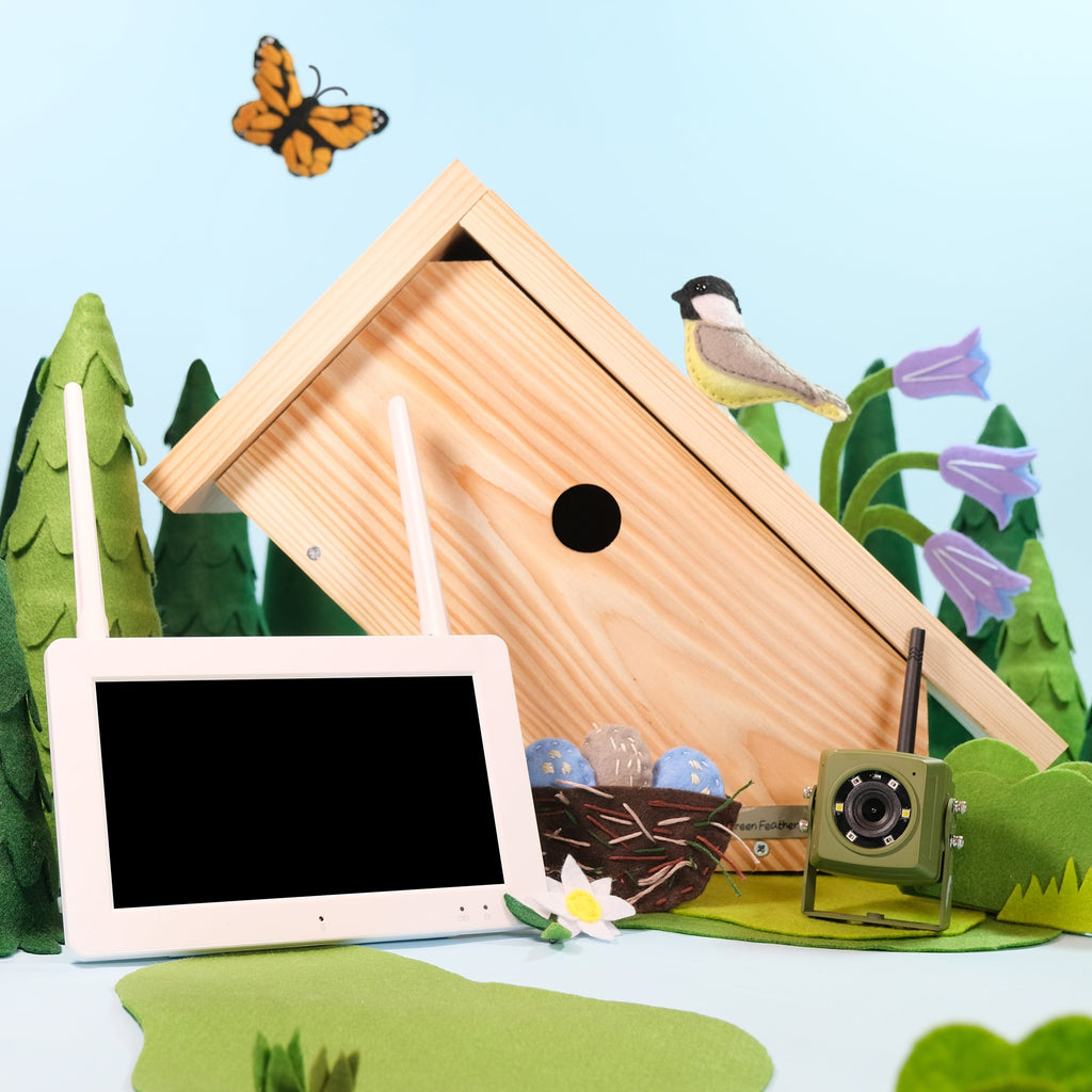 Wireless Side View Bird Box Camera & Screen Starter Pack