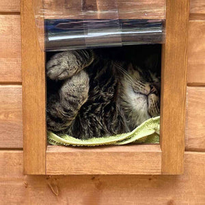 Cat Kennel Shelter with Thermal Barrier Curtain and Look Out Window - Home & Roost