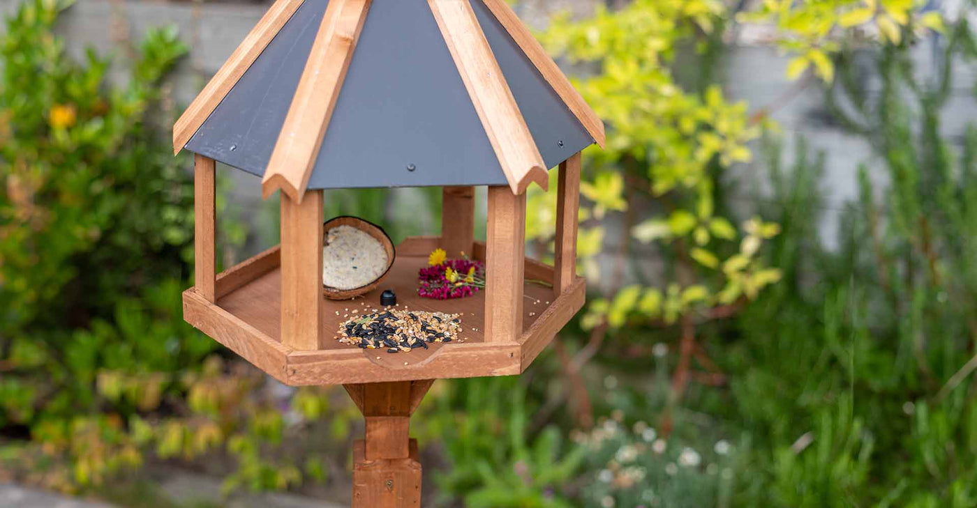 Bird tables in a garden