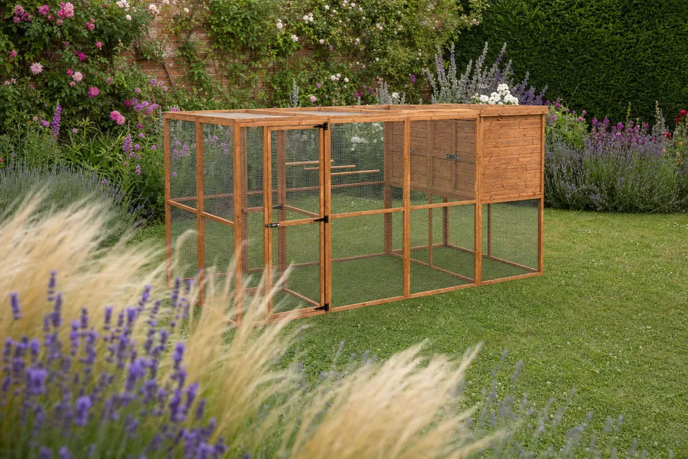 Wingmore walk-in aviary in an established British cottage garden with lavender and climbing roses