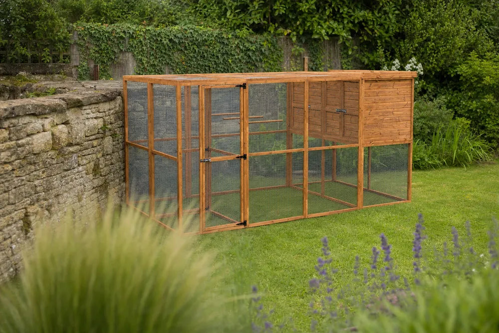Wingmore walk-in bird aviary with secure galvanised mesh, set against a weathered stone garden wall