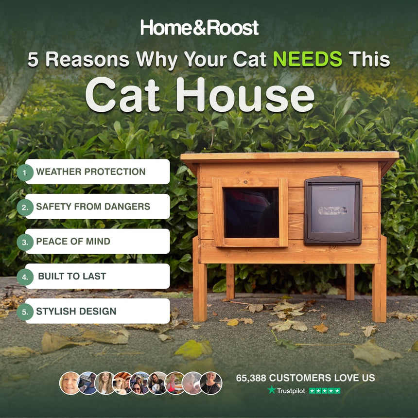 Wooden cat house with text listing reasons why a cat needs one, set against a natural background.