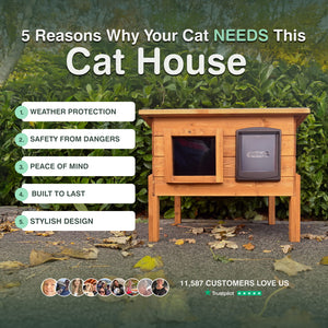 Mayfair Cat House Self Heating Outdoor Kennel with One Way Privacy Window