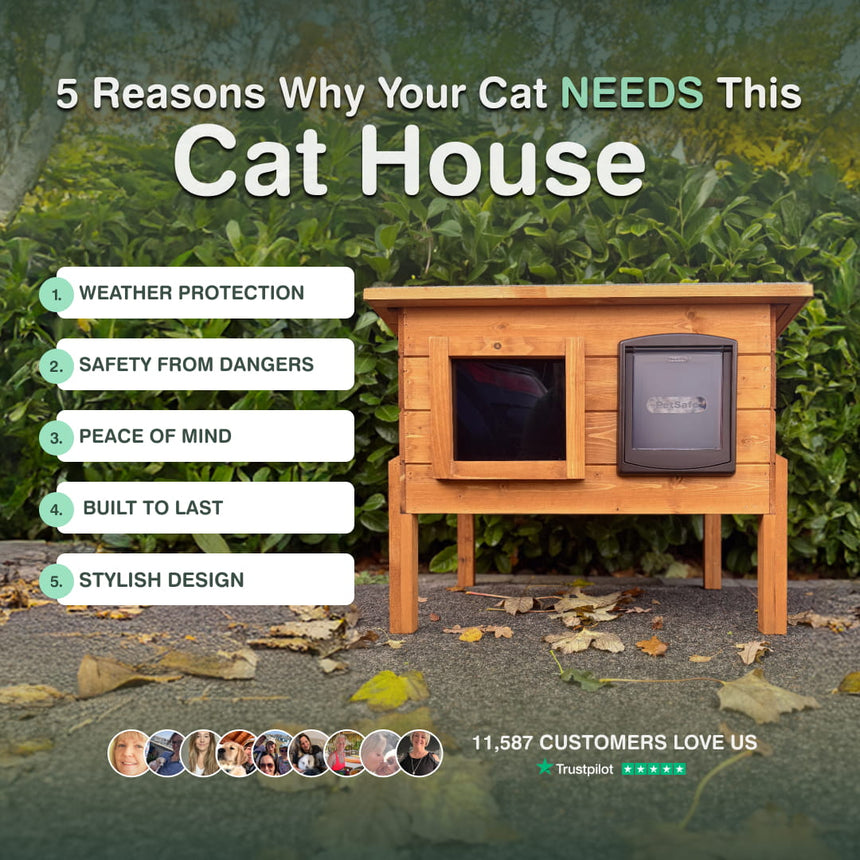 Mayfair Cat House Self Heating Outdoor Kennel with One Way Privacy Window