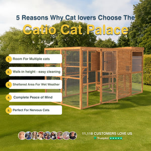 Catio Cat Palace with reasons for choosing it on a grassy area with trees in the background