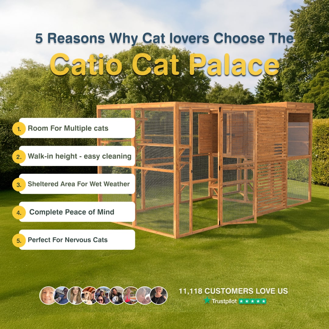 Catio Cat Palace with reasons for choosing it on a grassy area with trees in the background
