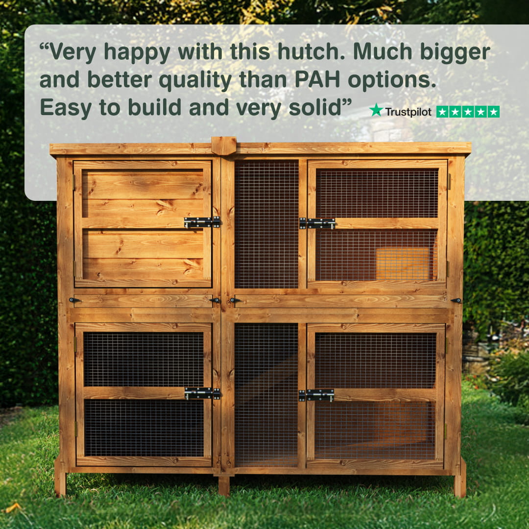 5ft Chartwell Double Rabbit Hutch
