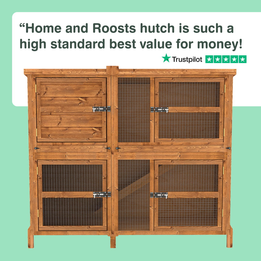 5ft Chartwell Double Rabbit Hutch