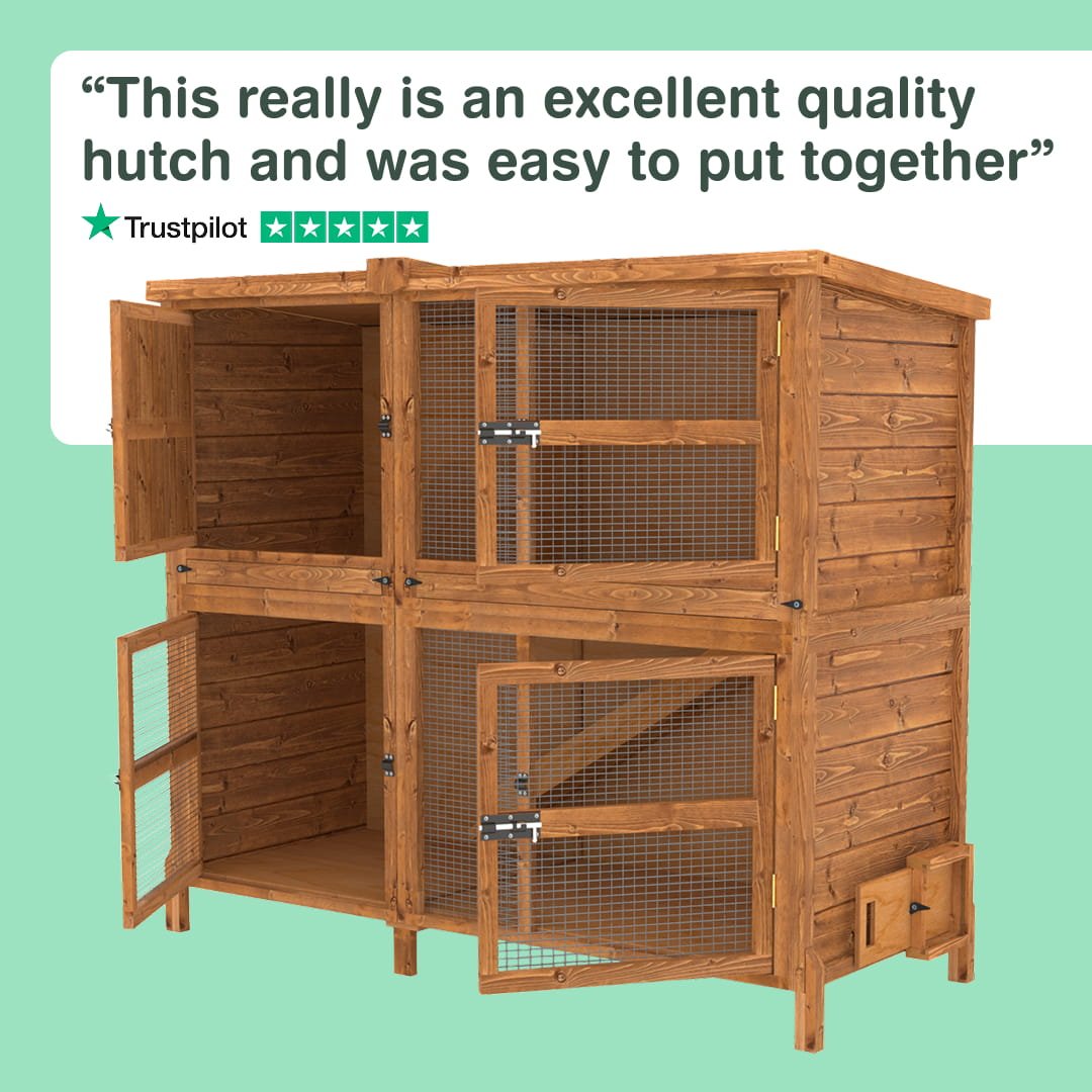 5ft Chartwell Double Rabbit Hutch
