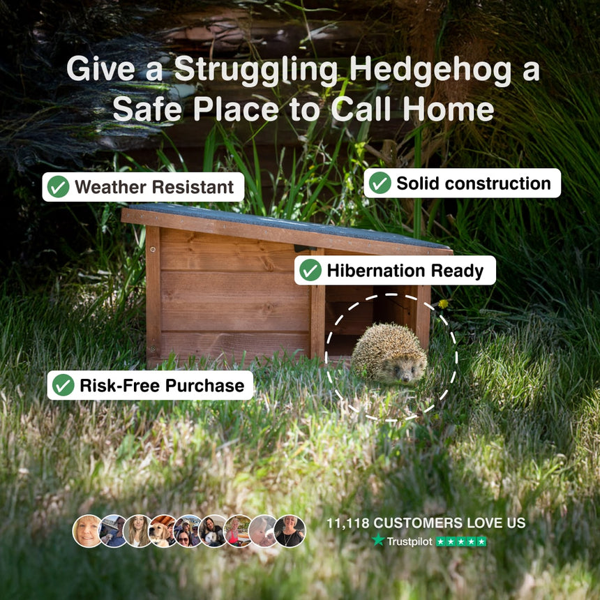 Wooden hedgehog house in a natural setting with text highlighting features and customer testimonials.