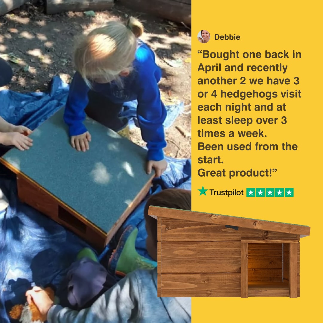 Child interacting with a wooden hedgehog house, with a Trustpilot review on a yellow background.