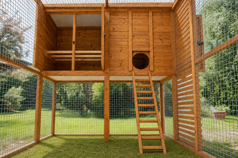 Close view of the HENRIK chicken coop's galvanised welded steel mesh, slatted timber partition and battened ladder, showing its secure predator-resistant build