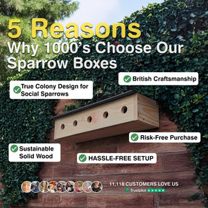 Sparrow box with text listing reasons why people choose it, set against a natural background.