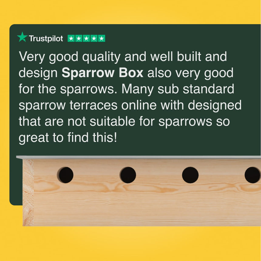 Wooden sparrow box with a Trustpilot review on a yellow background