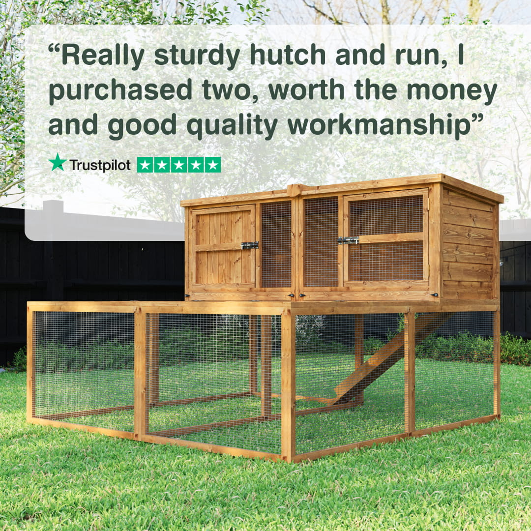 6ft Kendal Rabbit Hutch and Run Combo