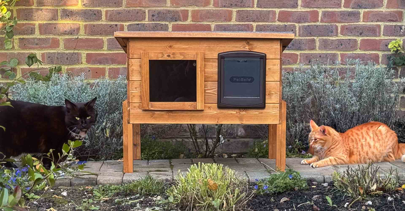 outdoor cat houses uk