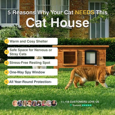 Wooden cat house with a cat walking towards it, text about reasons for needing a cat house.