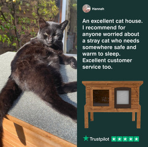 Black cat lounging on a wooden cat house with a Trustpilot review on a green background