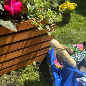 Sussex Planter Outdoor Wooden Raised Bed
