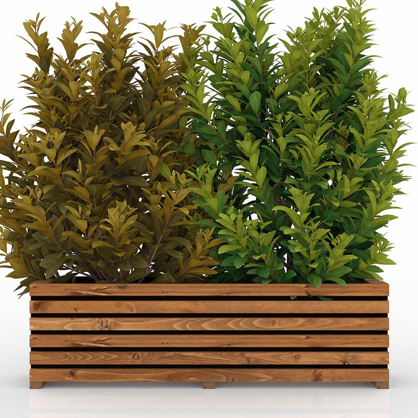 wooden planter raised garden box sussex