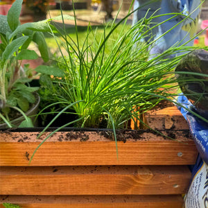 Sussex Planter Outdoor Wooden Raised Bed