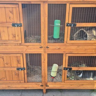 Rabbit Burrow Tunnel – Home & Roost