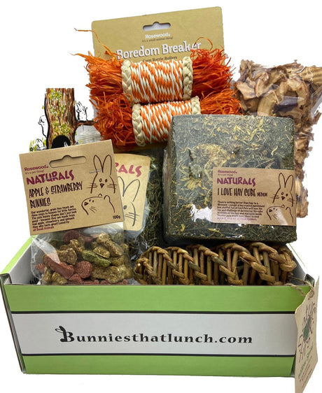 Rabbit subscription Box of pet products, including treats, toys, and a hay cube with 'Bunnies that Lunch' branding.