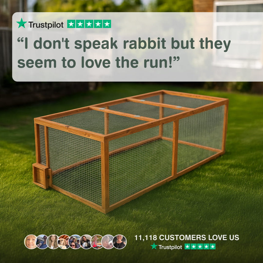 6ft Rabbit Run With Burrow Portal And Tunnel System