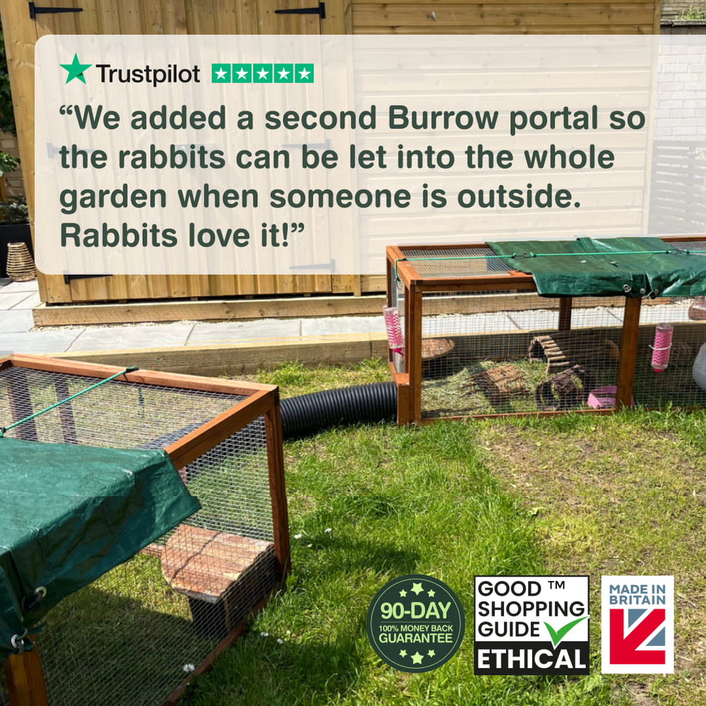 6ft Rabbit Run With Burrow Portal And Tunnel System