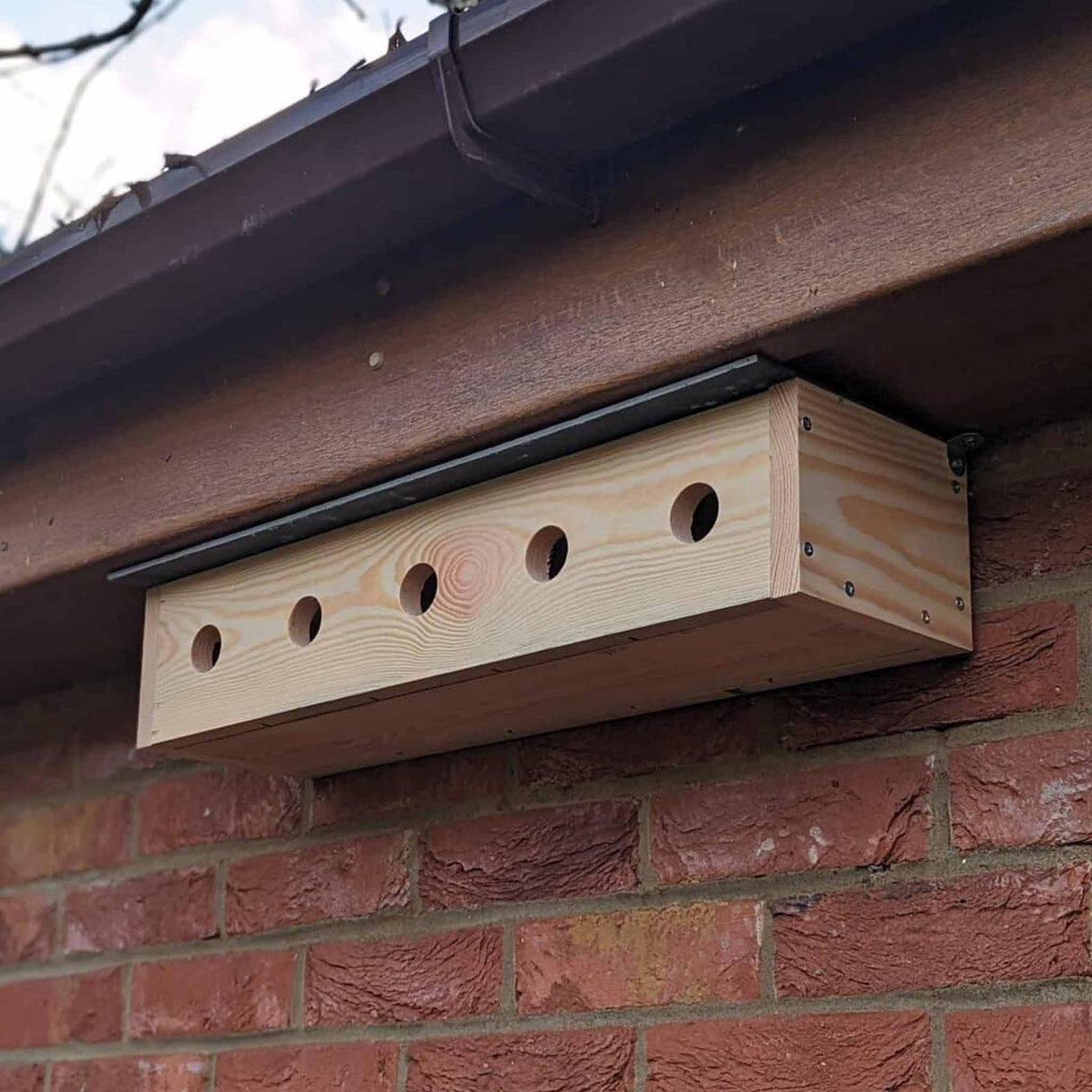 Sparrow Colony Nesting Box with SIG® Slate Roof