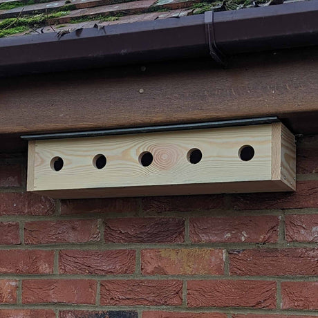 Sparrow Colony Nesting Box with SIG® Slate Roof