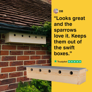 Wooden birdhouse attached to a brick wall with a Trustpilot quote on a yellow background.