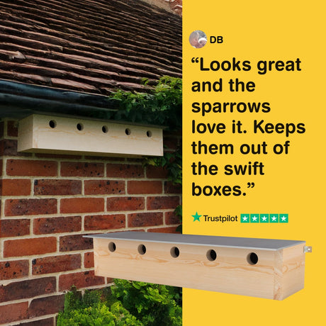 Wooden birdhouse attached to a brick wall with a Trustpilot quote on a yellow background.