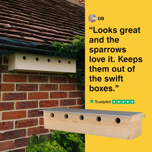 Wooden birdhouse attached to a brick wall with a Trustpilot quote on a yellow background.