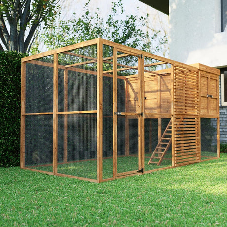 Walk in chicken coop with a ladder on a grassy area