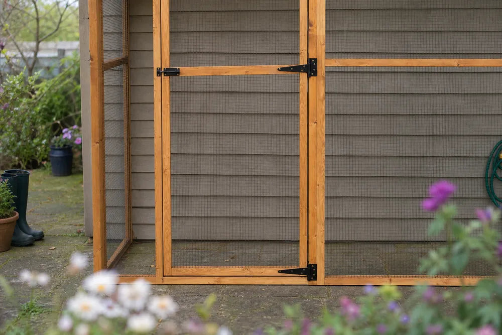 A Wingham 3-sided walk-in catio mounted against a garden shed, shot low through soft planting