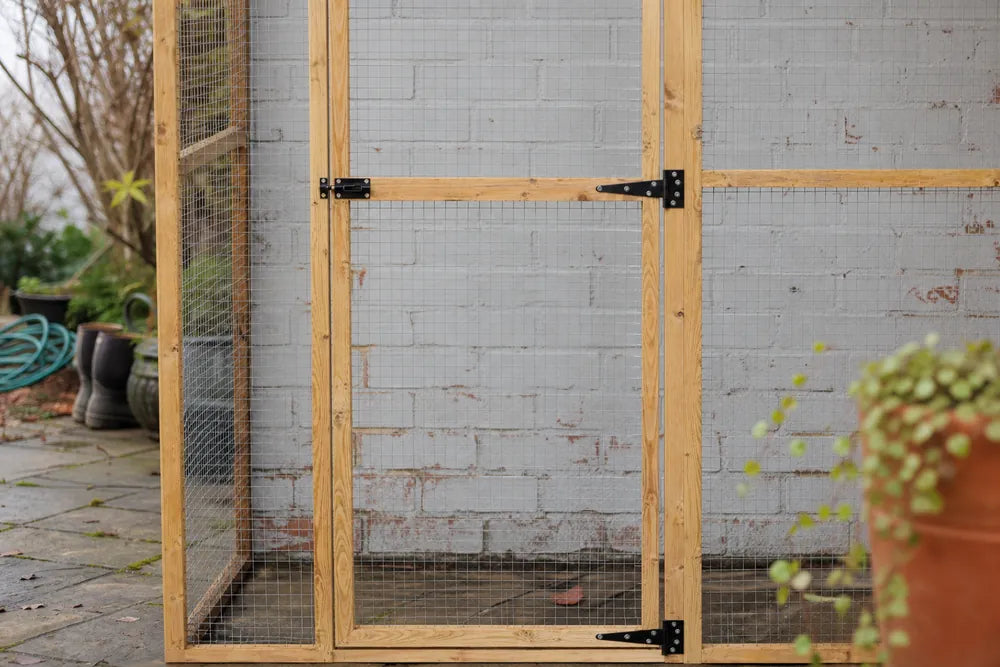Close detail of the Wingham 3-sided catio's secure mesh door with black T-strap hinges and slide-bolt latch, mounted against a house wall