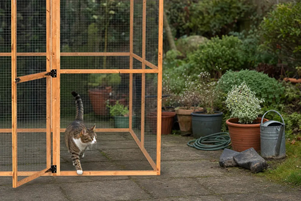 A cat stepping out through the open door of the Wingham catio into a real lived-in British garden
