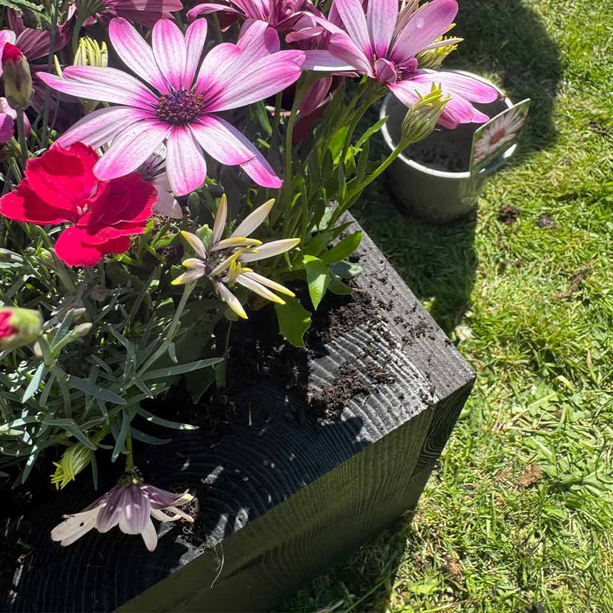 Planter Hastings Black Garden Wooden Raised Trough