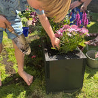 Planter Hastings Black Garden Wooden Raised Trough