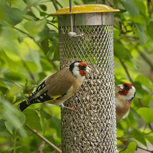 All Weather Sunflower Heart Metal Bird Feeder