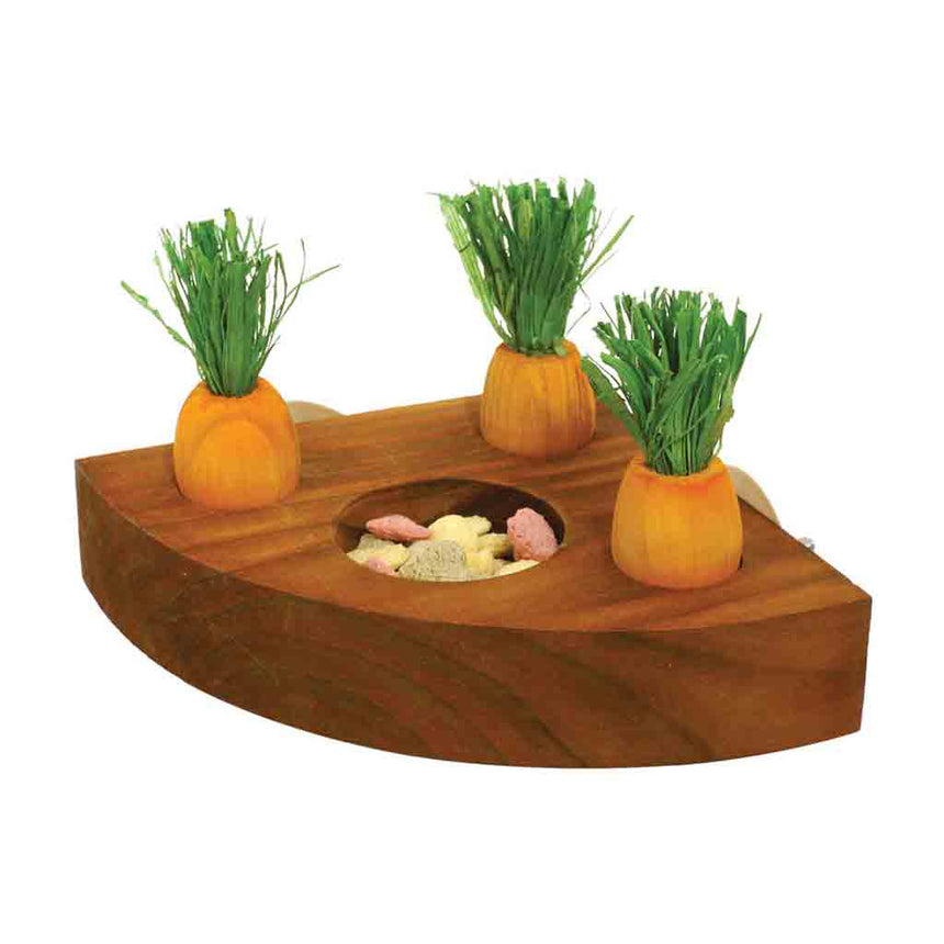 Rosewood Boredom Breakers Carrot Toy And Treat Holder - Home & Roost