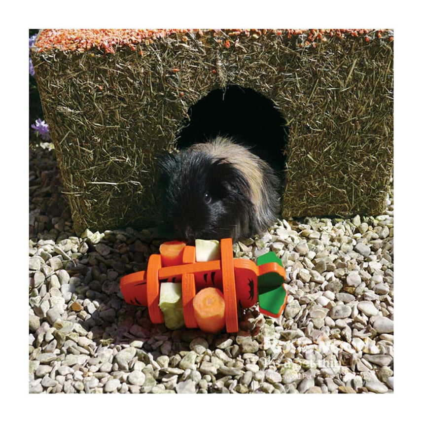 Boredom Breaker Woodies 3-D Carrot - Home & Roost
