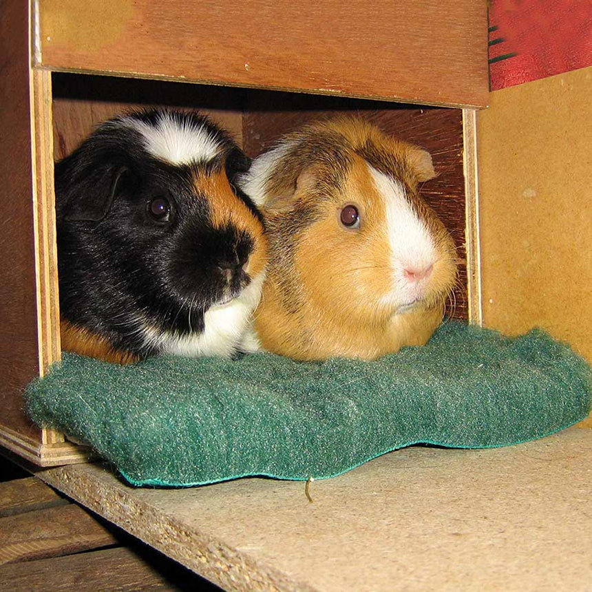 Chinchilla House Nest Box Perfect For Mice, Rats, Hamsters &amp; Guinea Pigs - Home & Roost