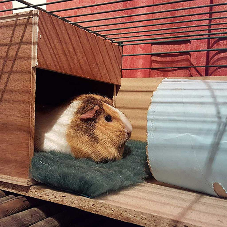 Chinchilla House Nest Box Perfect For Mice, Rats, Hamsters &amp; Guinea Pigs - Home & Roost