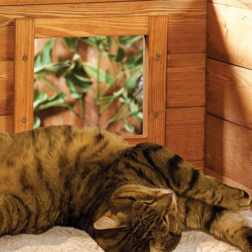 Cat House Microchip Cat Flap Self Heating Outdoor Kennel with One-Way Privacy Window | Perfect for One Cat - Home & Roost